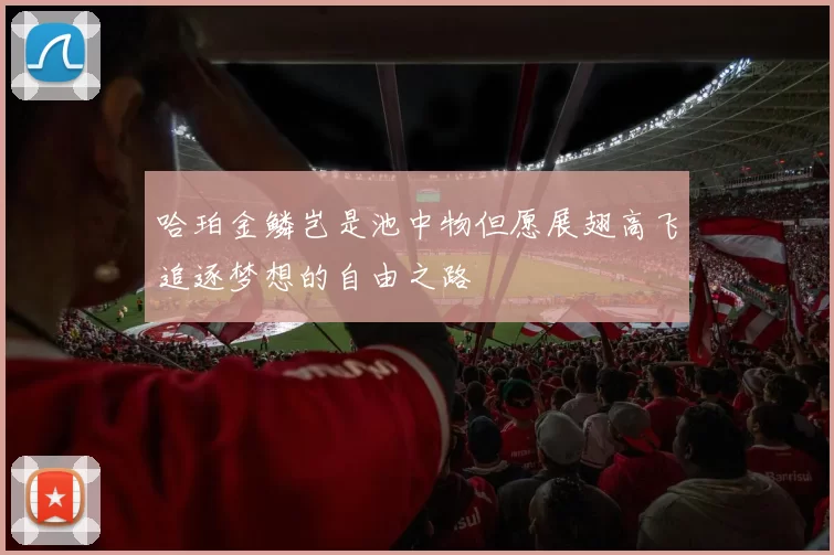 哈珀金鳞岂是池中物但愿展翅高飞追逐梦想的自由之路